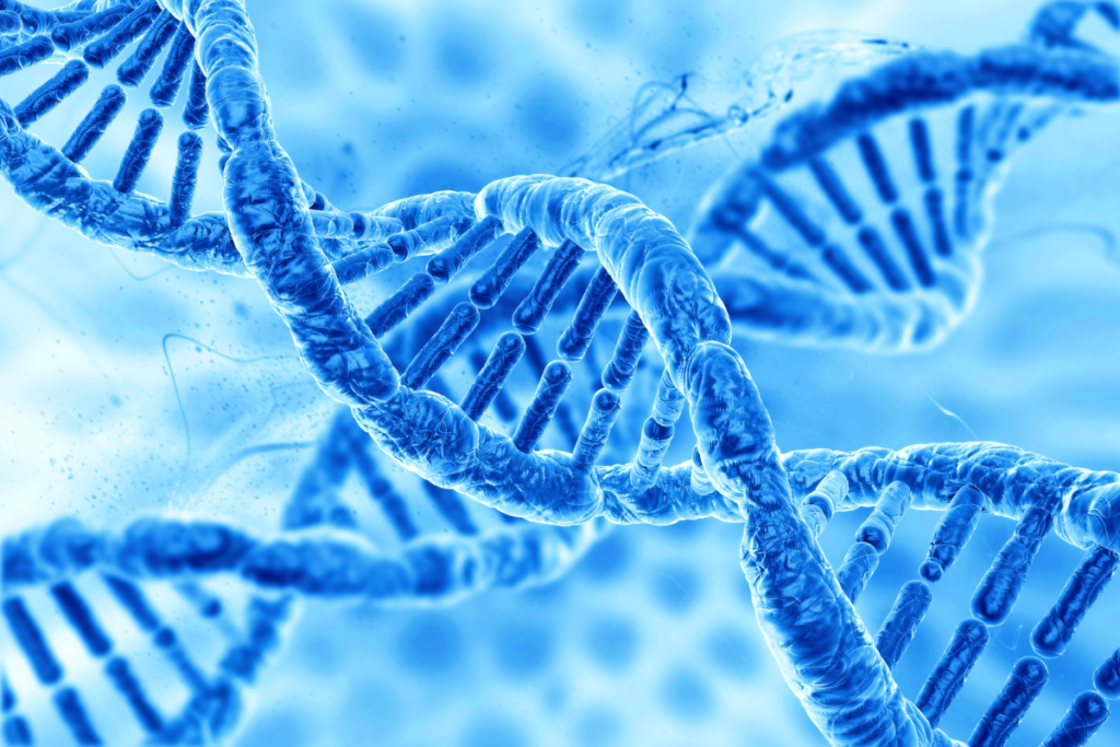 3d DNA structure